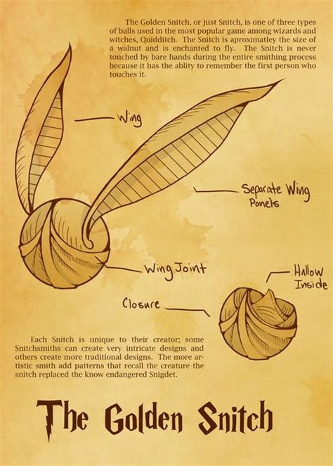 golden snitch harry potter poster harry potter creatures harry