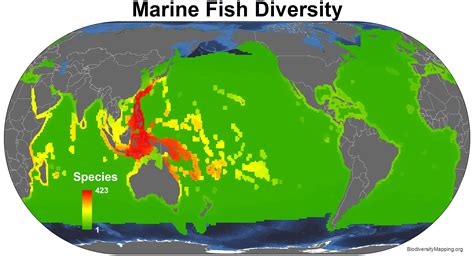 mapping  diversity   worlds marine fishes