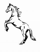 Horse Coloring Pages Galloping Printable Getcolorings Print sketch template
