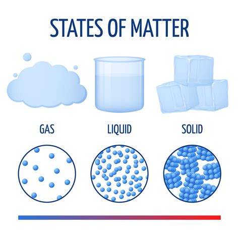 fundamentals states  matter  molecules vector infographics  microvector thehungryjpeg