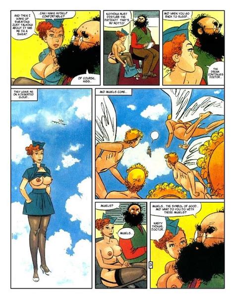 the stewardess xxx comics