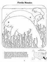Coloring Manatee Pages Manatees Book Books Patrons Popular Gif Library Coloringhome sketch template