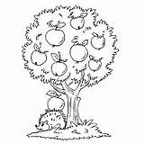Coloring Tree Apple Pages Surfnetkids Visit sketch template
