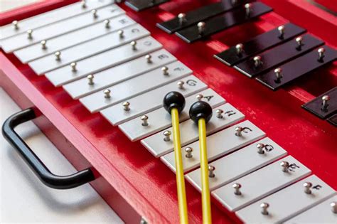 different types of xylophone xylophone differences