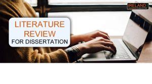 dissertation literature review steps examples