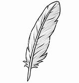 Feather Quill Plumas Plantilla Plantillas Tooling Clipartmag Clipground Webstockreview Tribal sketch template