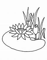Pond Coloring Pages Lotus Flower Drawing Animals Water Flowers Summer Getcolorings Color Growing Lily Chinese Getdrawings Surprising sketch template