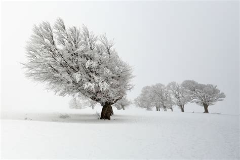 einsame winterlandschaft foto bild monatswettbewerbe natur