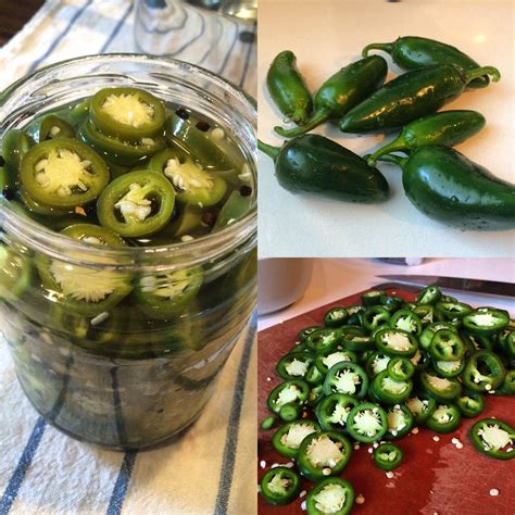jalapenos   grocery store homes apartments  rent