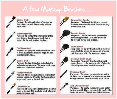 tuesday tip why we need these seven makeup brushes