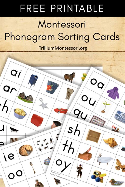 montessori printable phonogram sorting