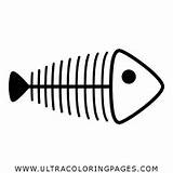 Pescado Espinas Lische Pesce Colorare Ultracoloringpages sketch template