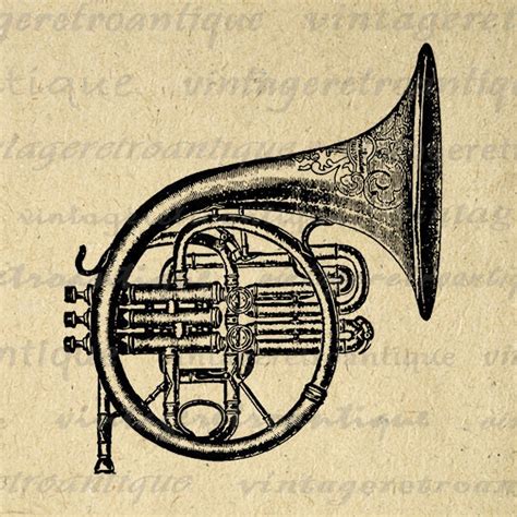 printable french horn graphic image brass instrument