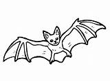 Coloring Bats Halloween Bat Pages Printable Popular Kids sketch template
