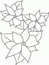 Coloring Pages Poinsettia Kids Printable Para Christmas Color Print Mistletoe Pascuas Flores Crafts Rudolph Spanish Moldes Book Bestcoloringpagesforkids Popular Navidenas sketch template