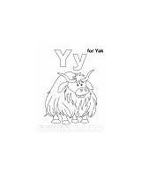 Coloring Yak Yy Letter Printable Han Pages sketch template