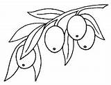 Olive Colouring Pages Coloring Google Olives Search sketch template