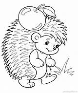 Coloring Pages Hedgehog Hedgehogs Print Children sketch template