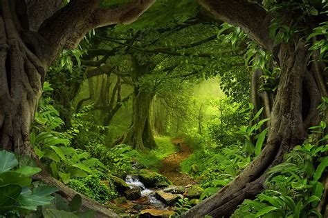 fantasy enchanted magical forest large wall mural  adhesive