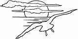 Coloring Seagull Popular Sunset sketch template