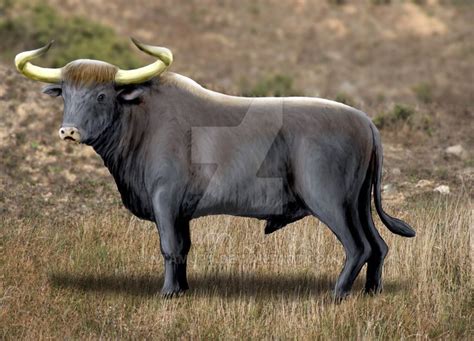 auroch prehistoric creatures prehistoric cattle