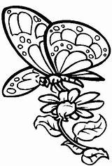 Butterfly Coloring Flower Flowers Pages Color Butterflies Nectar Drawing Printable Drawings Cardboard Clipart Designs Kids Online Cutout Coolage Hard Draw sketch template