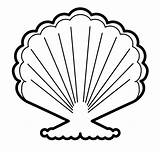Seashell Coloring Pages Seashells Kids sketch template