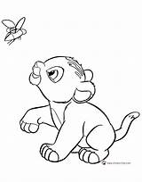 Baby Simba Lion King Coloring Pages Nala Disney Bebe Printable Cub Et Disneyclips Drawings Young Playful Timon Book Funstuff sketch template