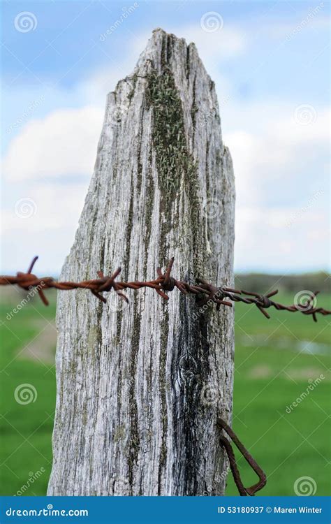 wooden fence post  rusty barbed wire stock image image  lichen ranch
