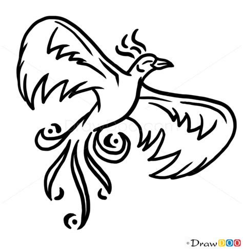 draw phoenix bird tattoo designs intro  art phoenix