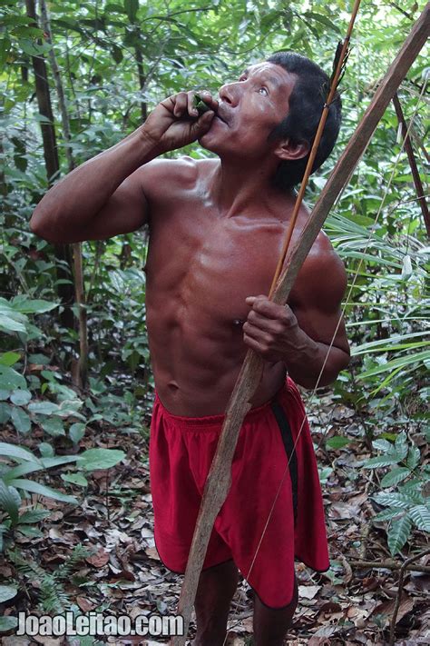 The Tatuyo Incredible Life Of A Surviving Amazon