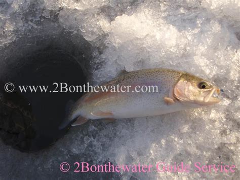 2bonthewater guide service reports december 22 2010
