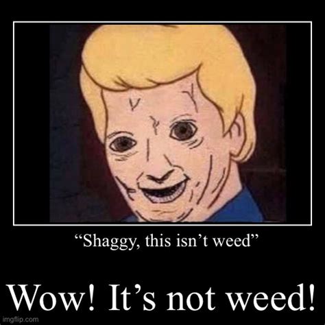 “shaggy This Isn’t Weed” Imgflip