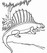 Dimetrodon Pages Coloring Dinosaur Coloringpagesonly sketch template