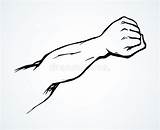 Pugno Disegno Superman Prolungato Fist Elongated sketch template