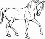 Coloring Horse Pages Draft Comments sketch template