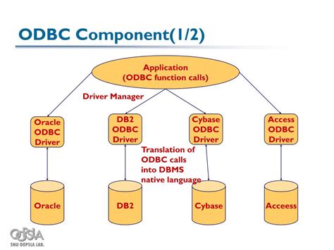odbc open  connectivity powerpoint