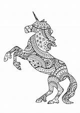 Unicorn Unicorns Zentangle Patterns Coloring Beautiful Shape Pages Adults Paisley Adult sketch template