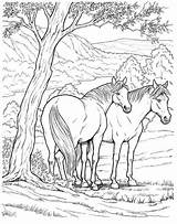 Coloring Cheval Chevaux Horses Coloriages Caballo Gratuit 2172 Colorear Friesian Ostwind Malvorlagen Ausdrucken Animais Dover Gratuitement Dizaines Foret Doverpublications Cavalo sketch template