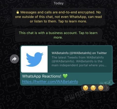 whatsapp pracuje na reakcich na notifikace dotekomaniecz