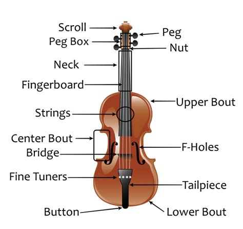parts   violin