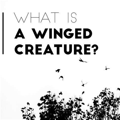 winged creature ryan welsh