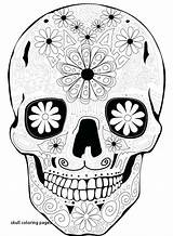 Macomb Girlscouts Muertos sketch template