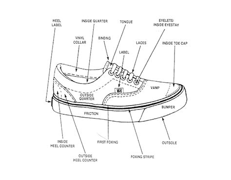 anatomy   vans shoe theothersideofthepillow
