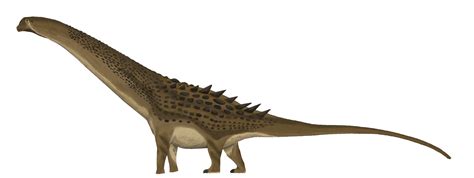 detailed alamosaurus  paleop  deviantart