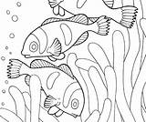 Coloring Habitat Animal Pages Habitats Getcolorings Color Printable sketch template