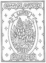Digi Lupin Stamps sketch template
