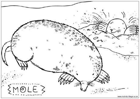 national mole day coloring pages