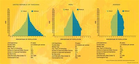 population pyramids for tanzania peru and norway infographic