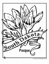 Flower Coloring Dakota South State Pages sketch template